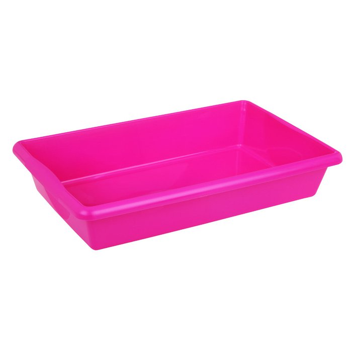 caixa de areia para gatos 2