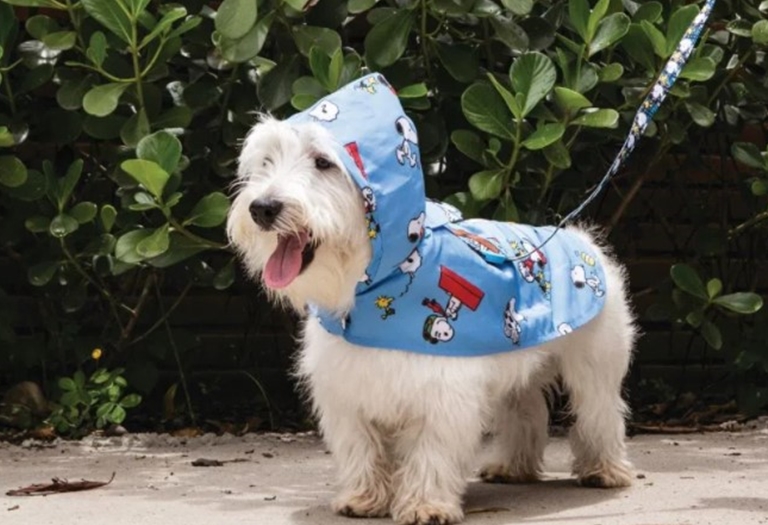 Capa de Chuva Snoopy Aventura