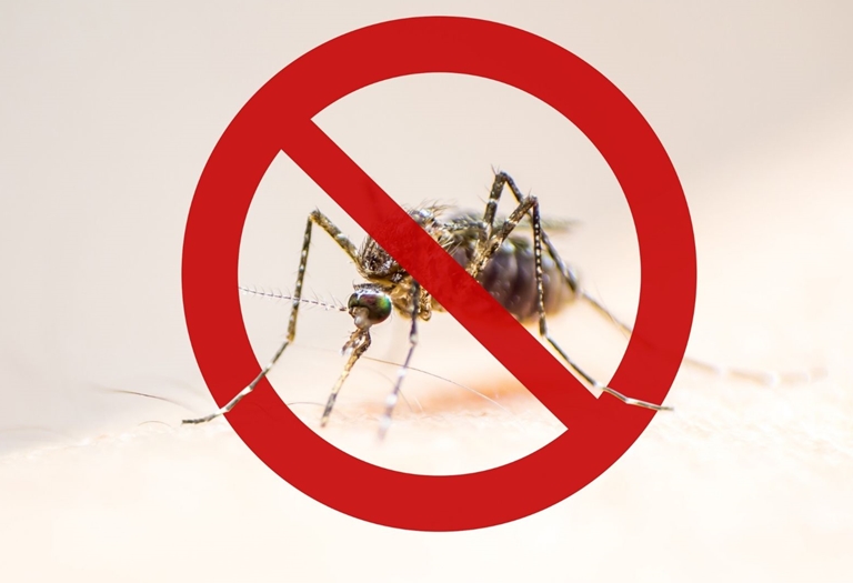 Cuidados contra o mosquito