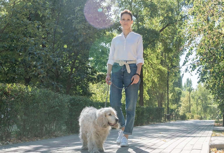 Cuidados para passear com os Pets no verão