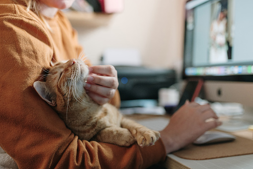 petfriendly2