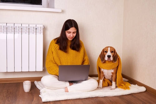 Cachorros sentem frio 