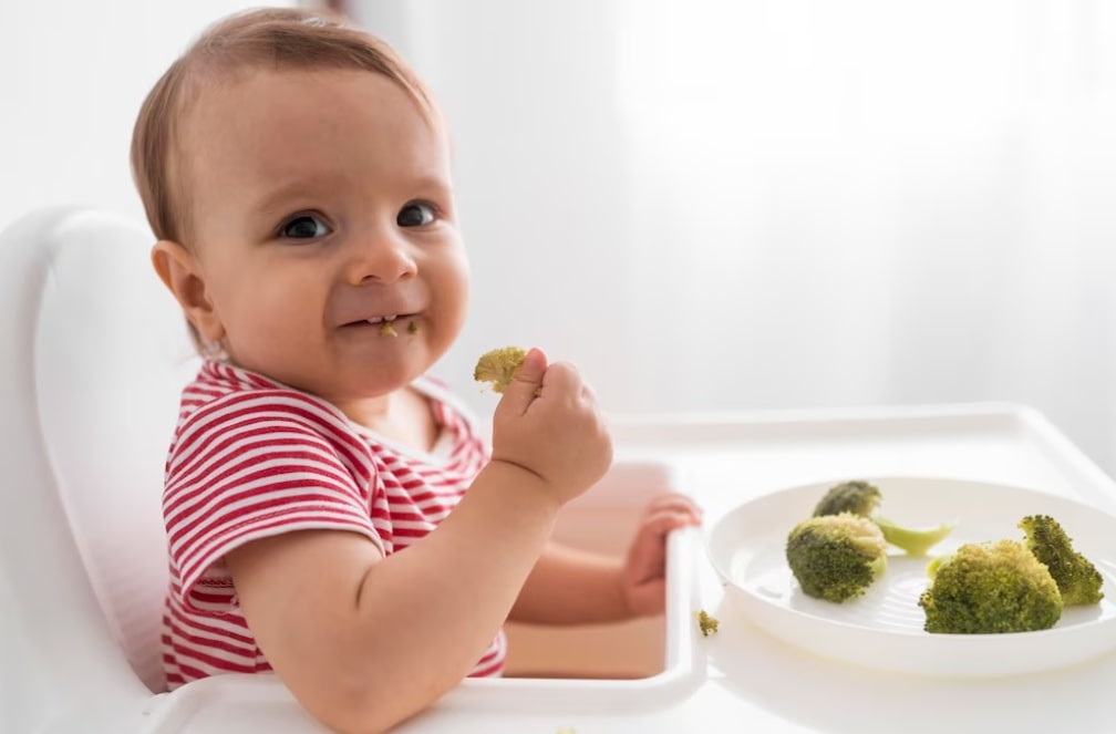 Introdução alimentar dos bebês