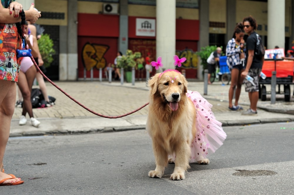 Carnaval Pet