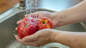 Pessoa que sabe como higienizar frutas e verduras lavando maçãs corretamente.