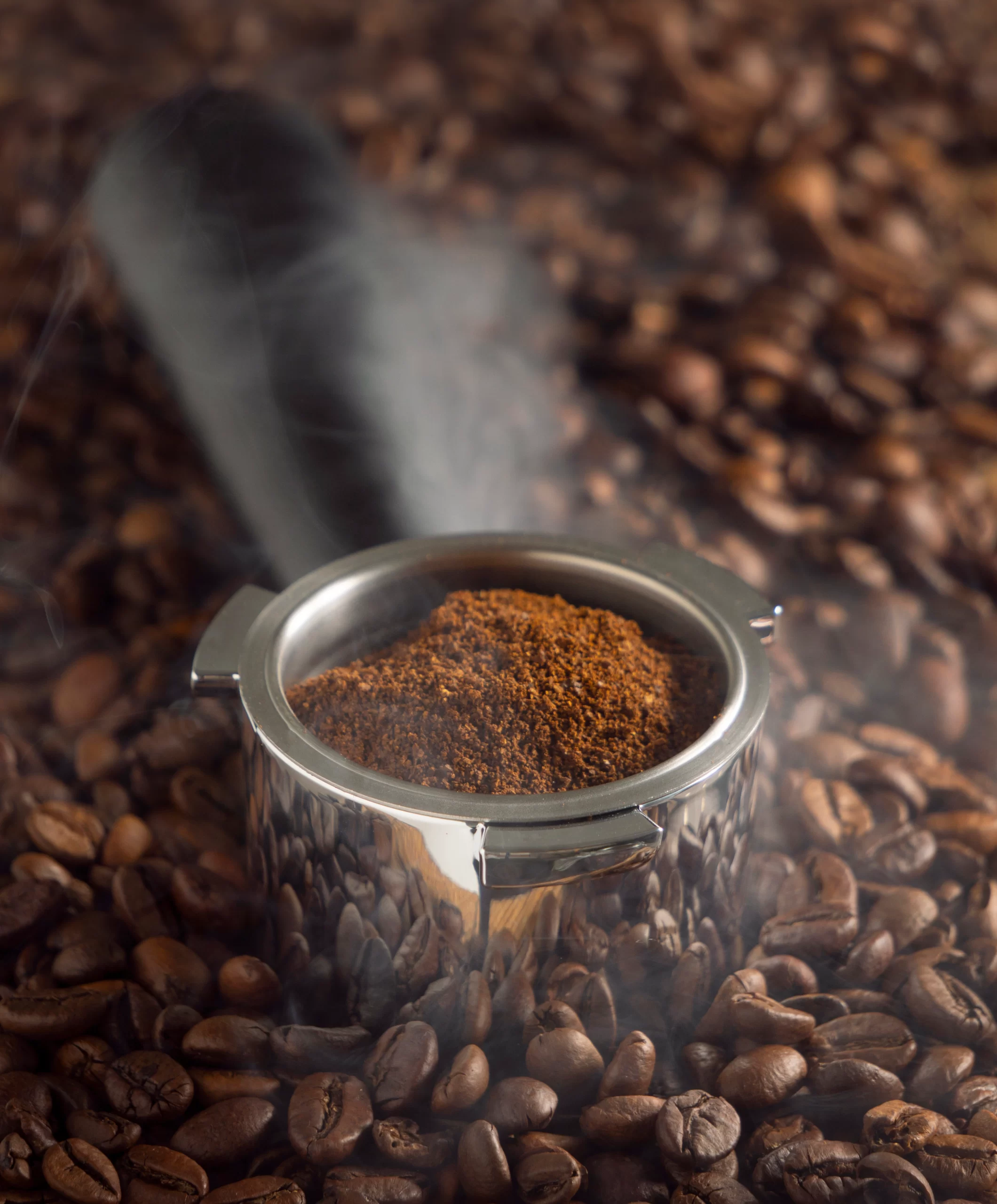 café gourmet ou tradicional